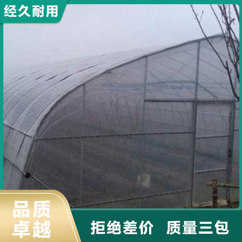 大棚管 温室大棚专业生产团队