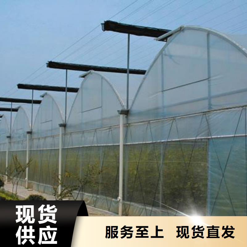 汪清蔬菜大棚管销售2025已更新