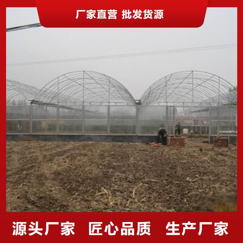 大棚管-智能温室大棚价格合理