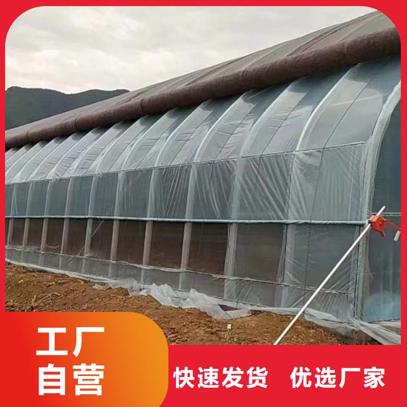 杏坛镇连栋大棚钢管镀锌管选泽沃企业