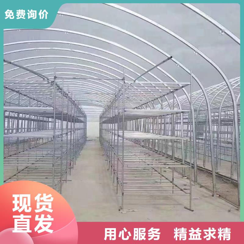 大棚管农业养殖大棚管拒绝差价