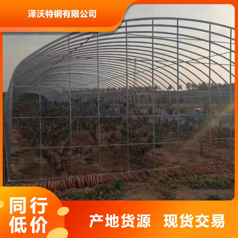 大棚管连栋温室搭建供您所需