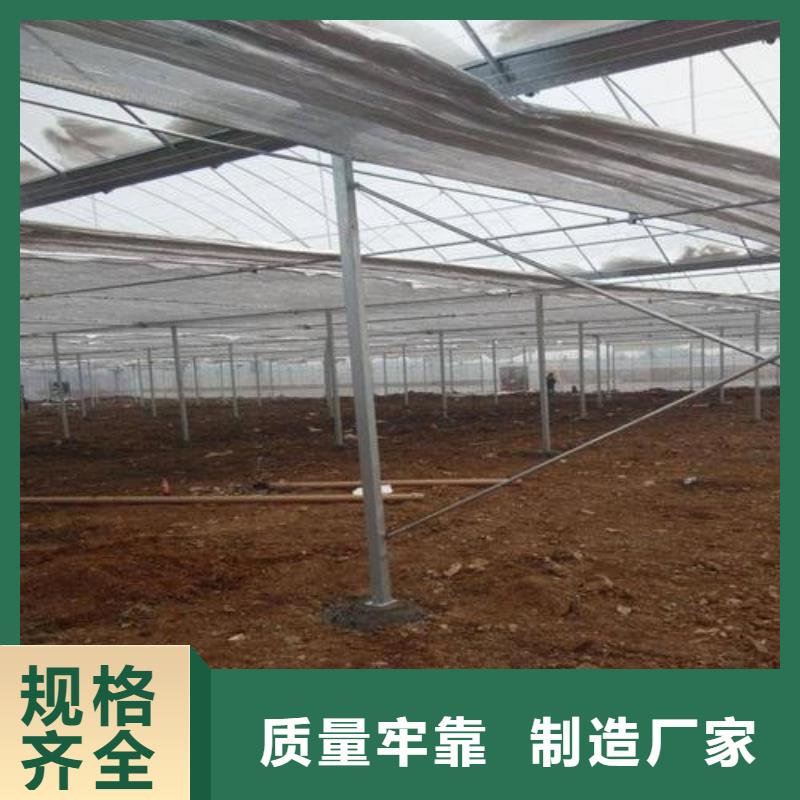 大棚管椭圆管温室大棚现货充足