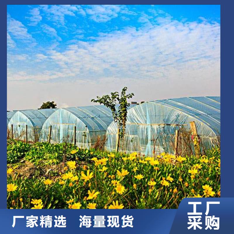 大棚管椭圆管温室大棚支持定制加工
