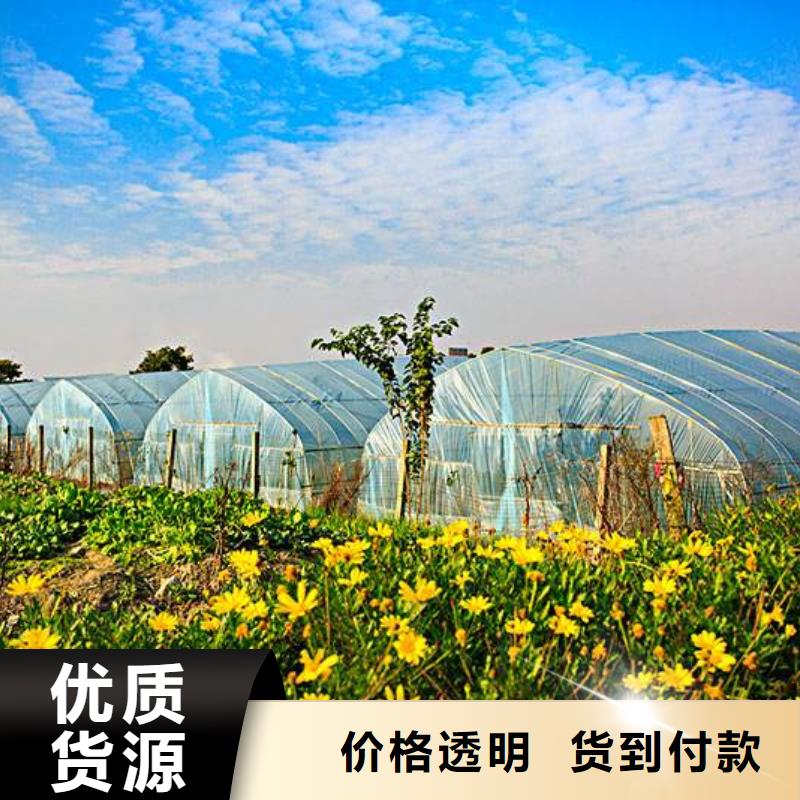 【大棚管】-农业养殖大棚管质量看得见