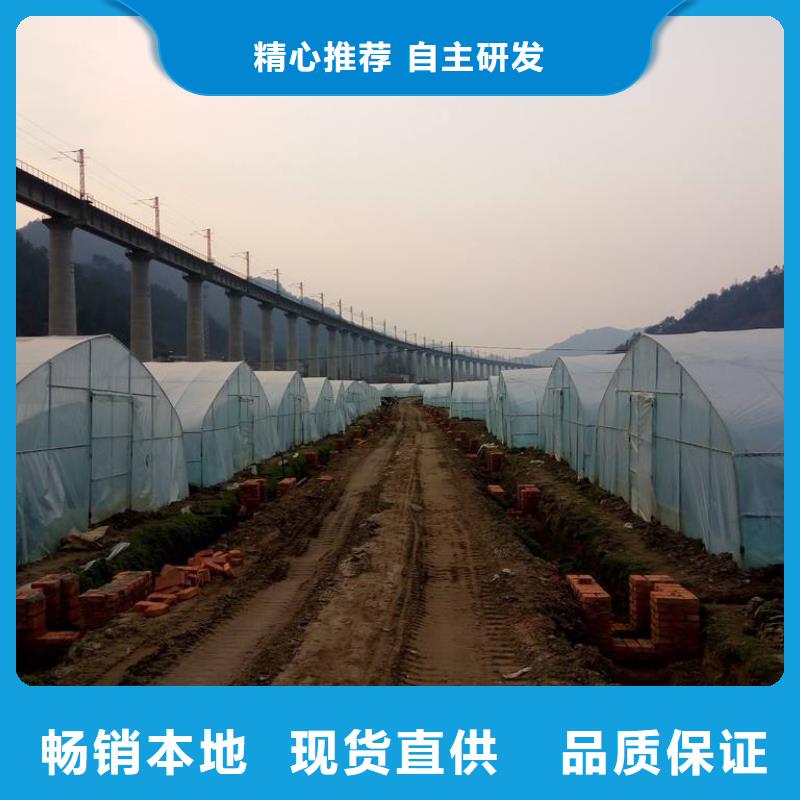 桃源县连栋大棚卡槽多年生产经验