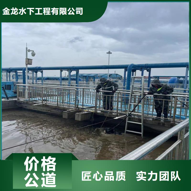 桥桩桥墩水下检测录像公司-潜水施工队
