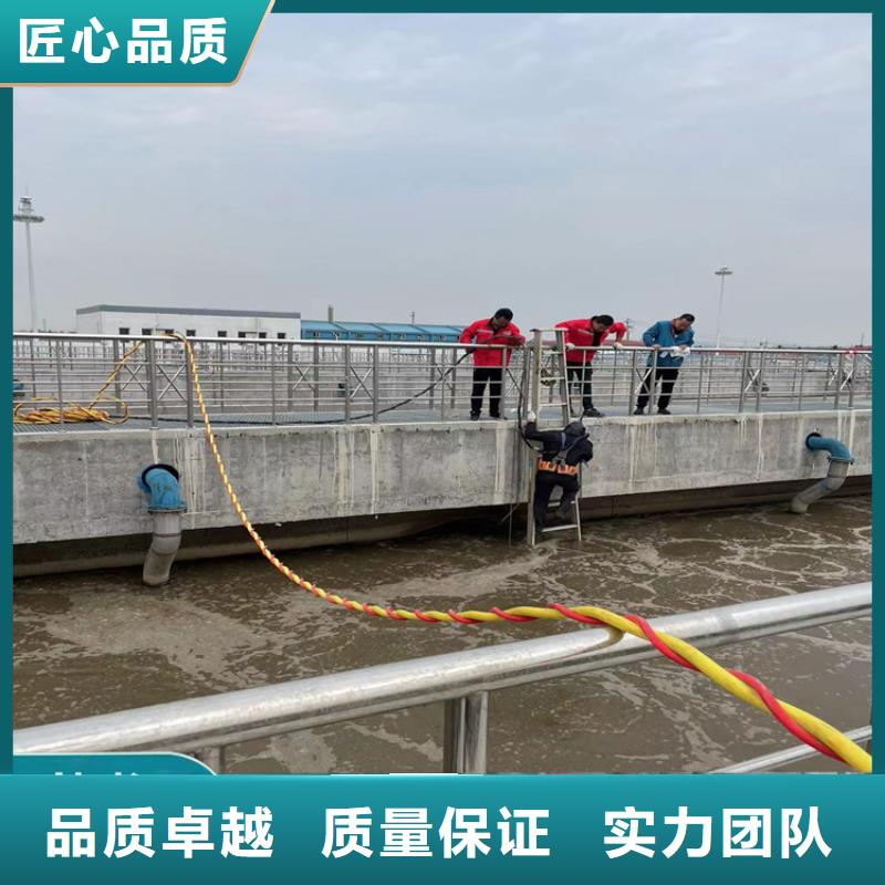 桥桩桥墩水下检测录像公司(本地施工队)