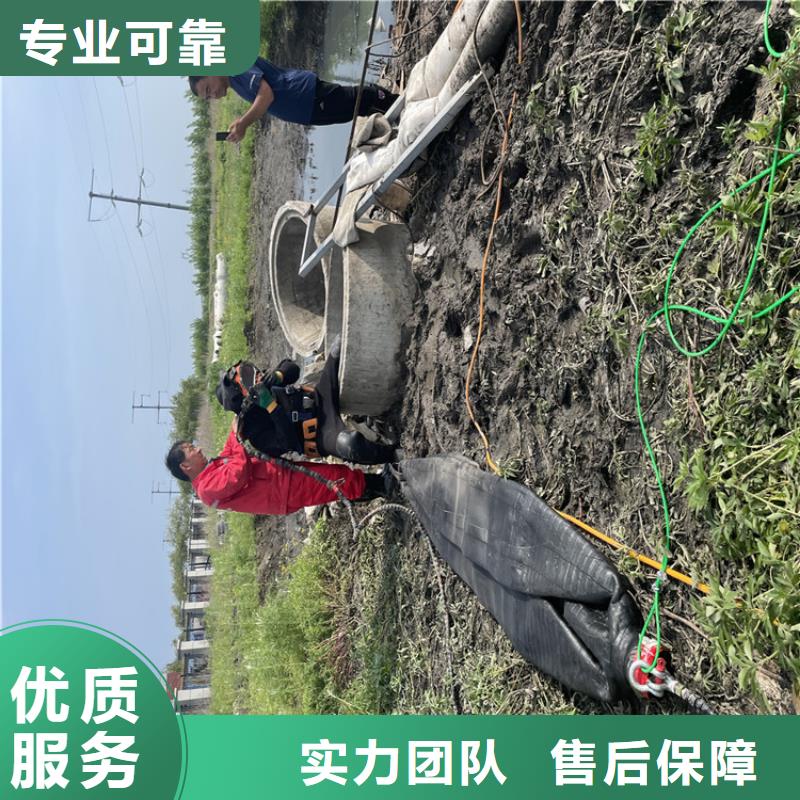 本地<金龙>水库电站闸门水下检修公司 本地潜水施工单位