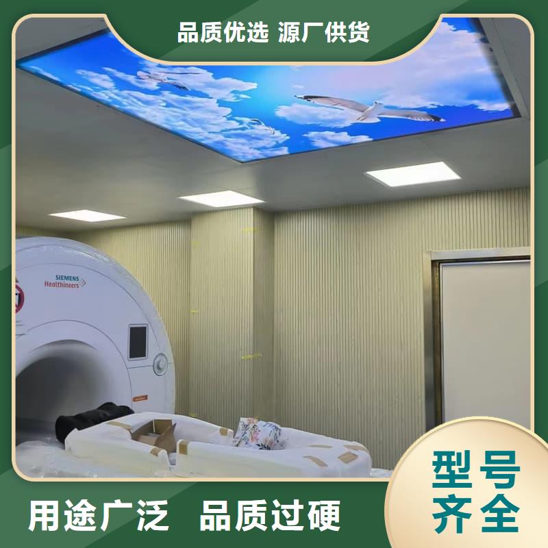 单开平移铅门供货商