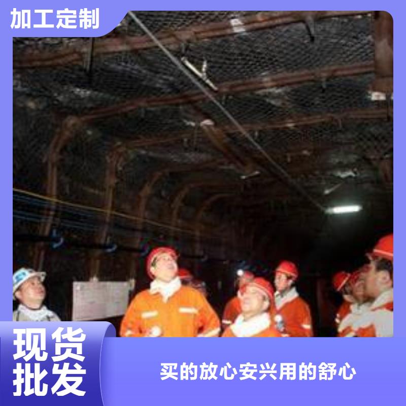 矿用钢塑复合假顶网双向塑料土工格栅优选原材