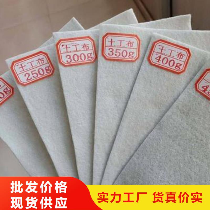土工布PP焊接土工格栅产地直供