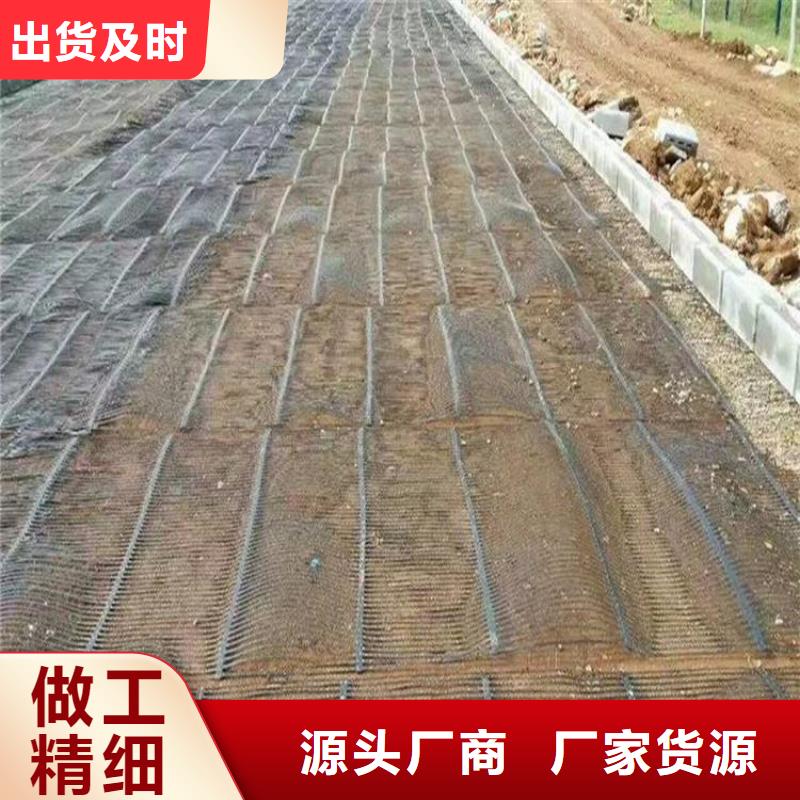 单向塑料土工格栅长丝土工布精品优选