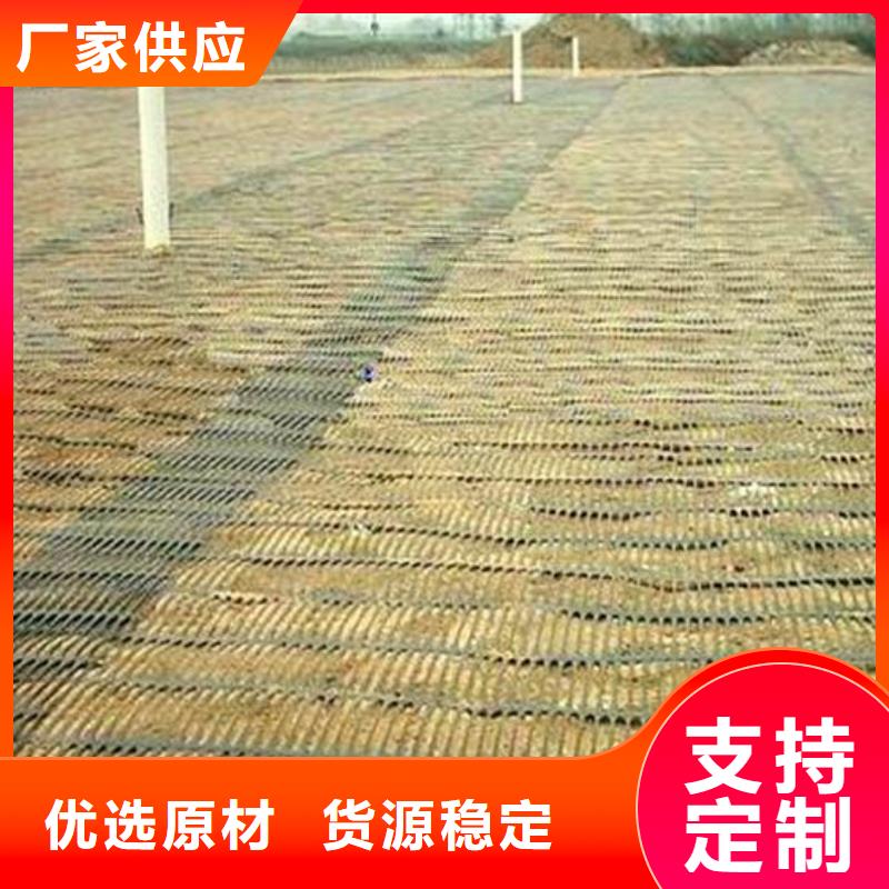 单向塑料土工格栅双向拉伸塑料格栅多种工艺