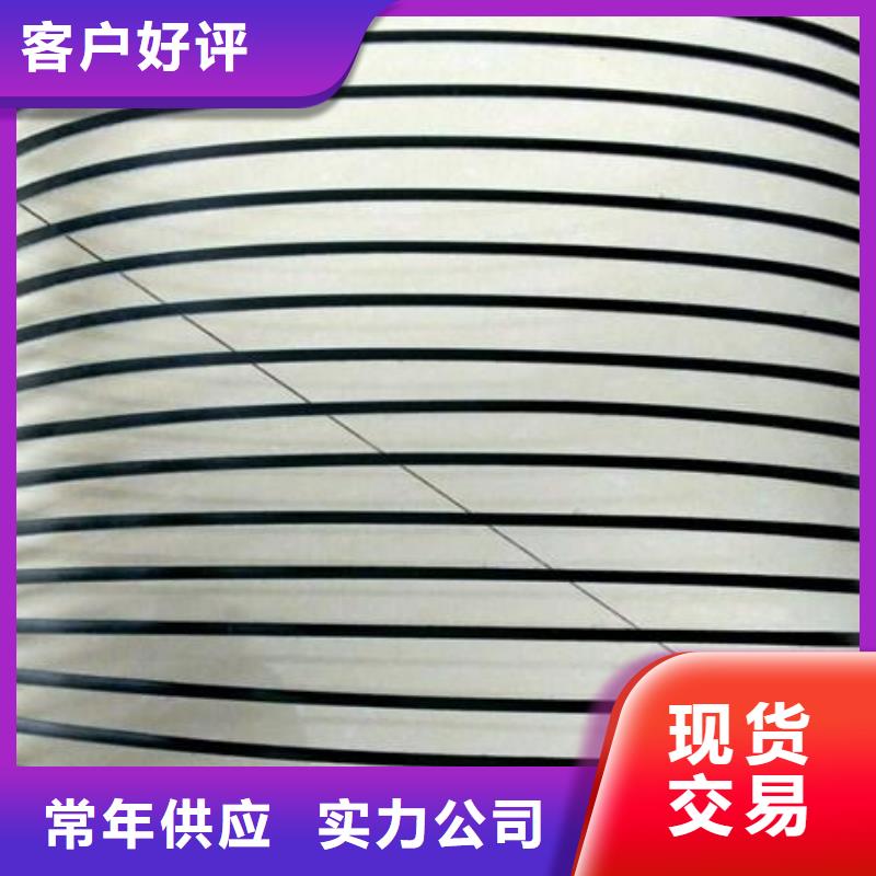 单向塑料土工格栅双向拉伸塑料格栅多种工艺