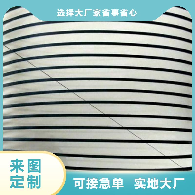 单向塑料土工格栅毛细排水板专注生产N年