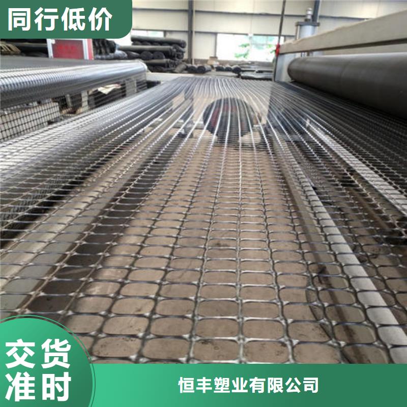 恒丰产地工厂 双向塑料土工格栅 【塑料盲沟】专注细节更放心、厂家货源-【本地】经销商