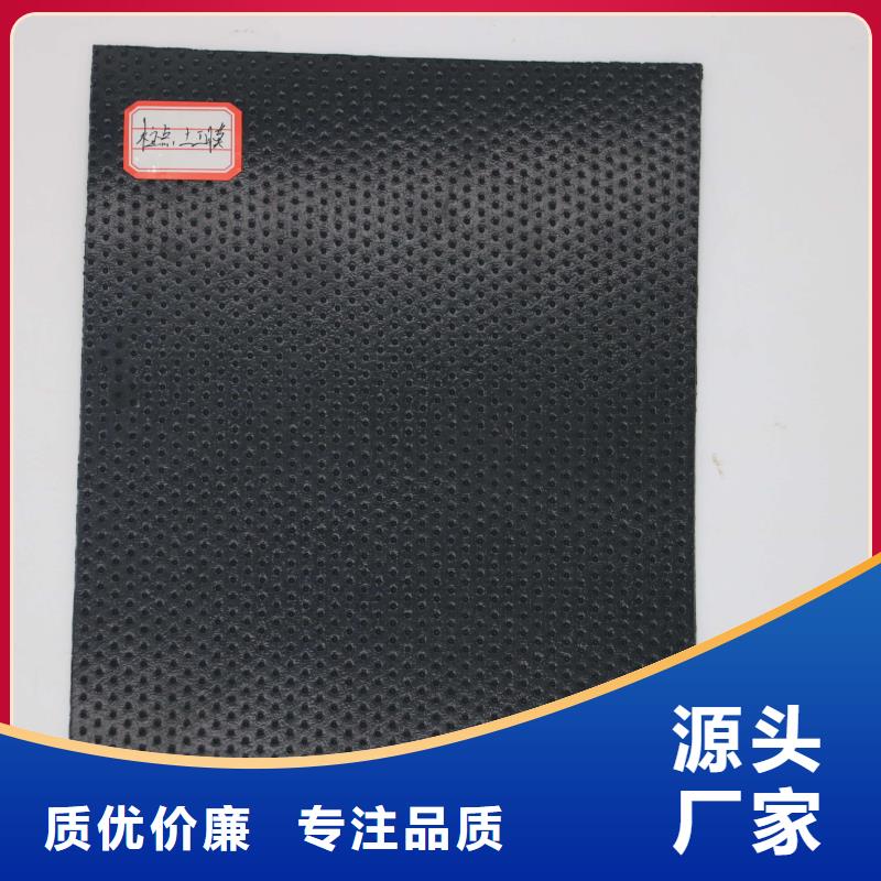 土工膜HDPE土工膜放心得选择