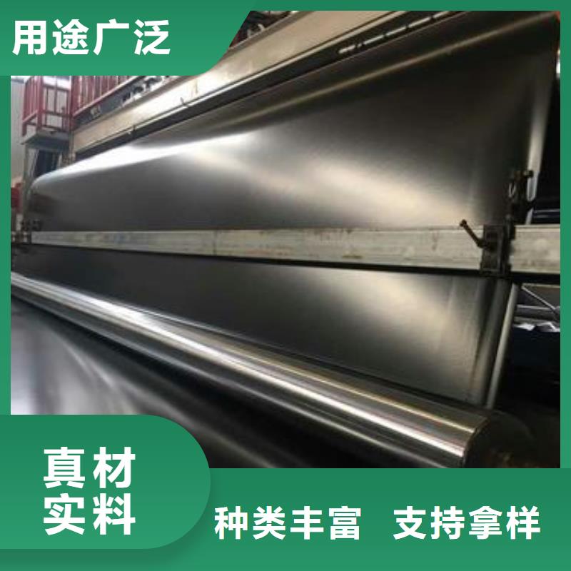 土工膜HDPE土工膜支持加工定制
