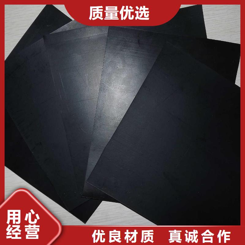 土工膜PP焊接土工格栅畅销本地