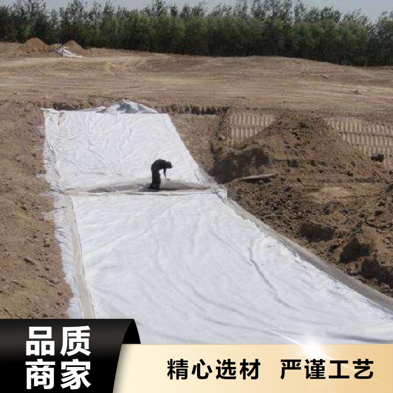 复合土工膜【蜂巢格室】货源充足