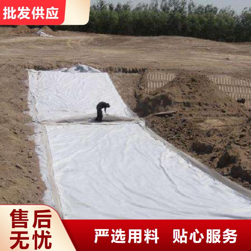 复合土工膜_防渗膜市场行情