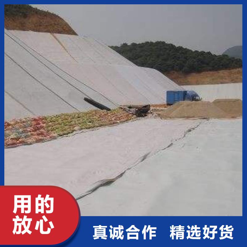 复合土工膜【防渗土工膜】场报价