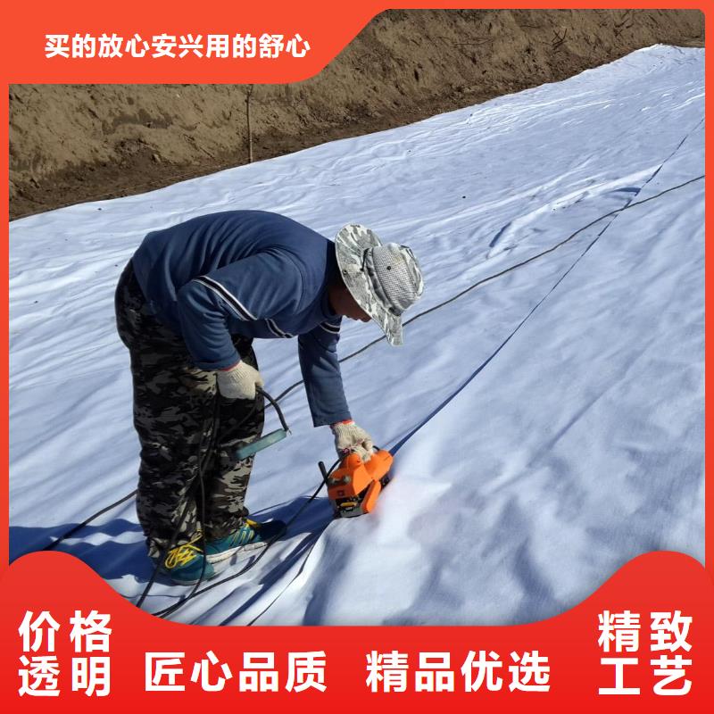 复合土工膜_防渗膜市场行情