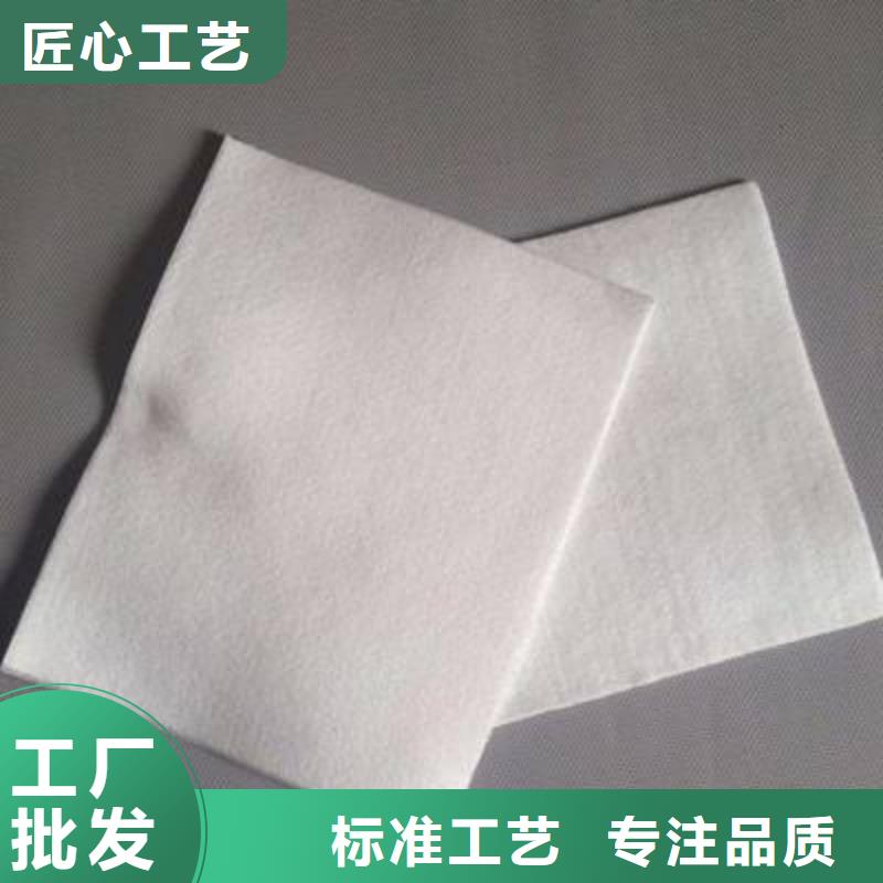 复合土工膜,塑料盲沟来图来样定制