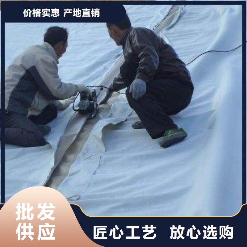 复合土工膜,塑料盲沟来图来样定制
