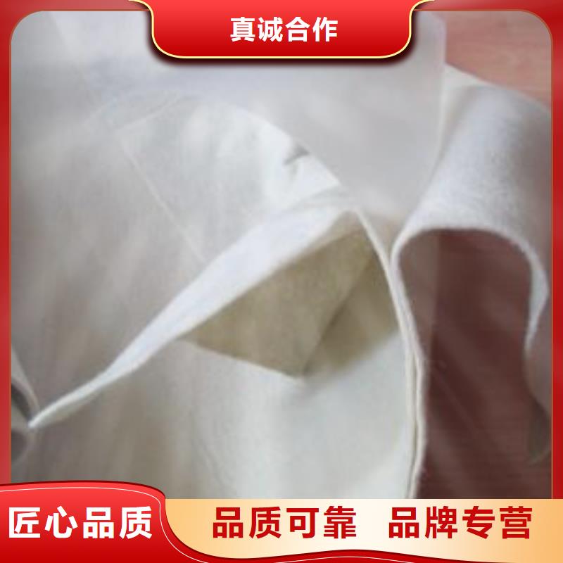 复合土工膜,塑料盲沟来图来样定制