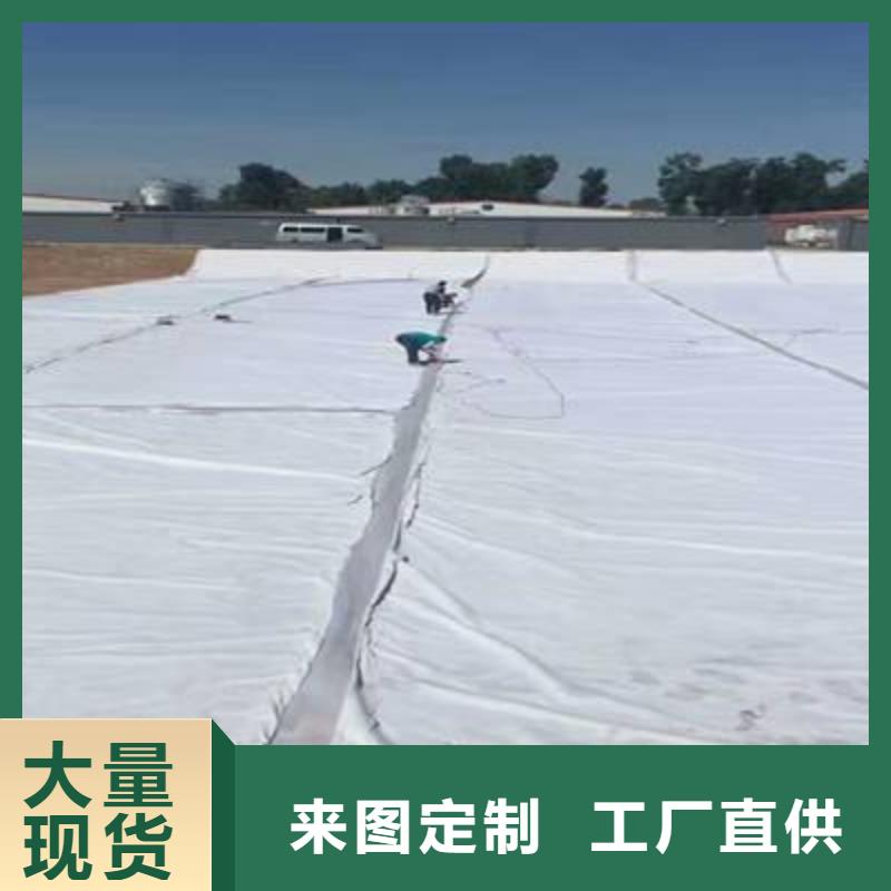 复合土工膜_TPO防水卷材好品质经得住考验