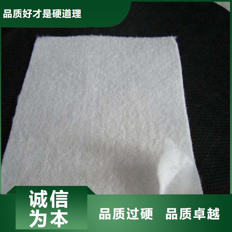 复合土工膜单向塑料土工格栅源厂供货