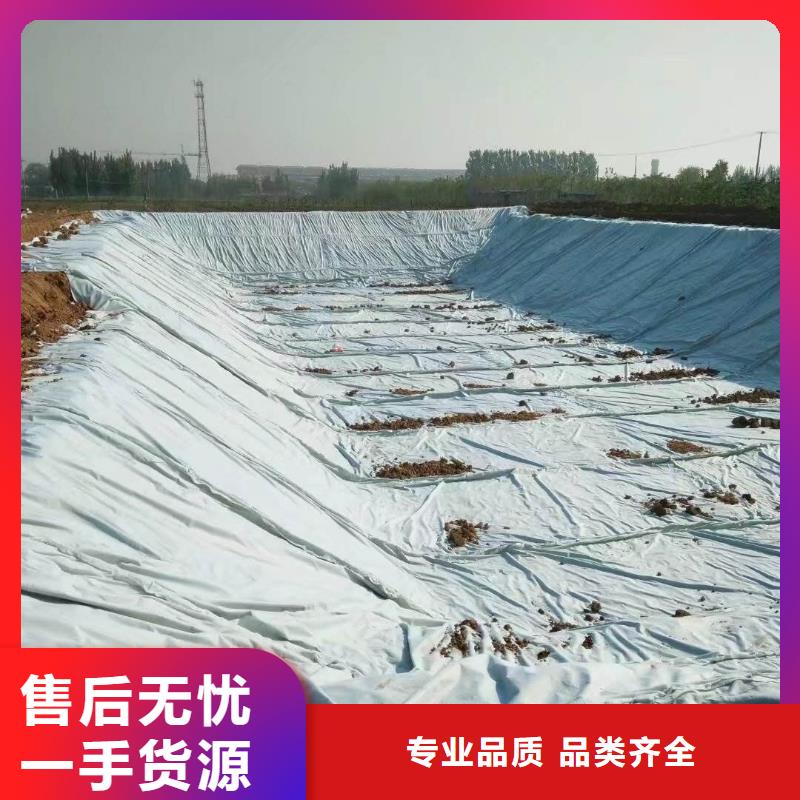 【复合土工膜】塑料土工滤网多种款式可随心选择