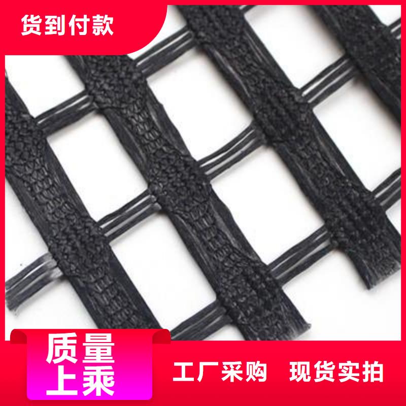 涤纶土工格栅塑料土工滤网品质优良