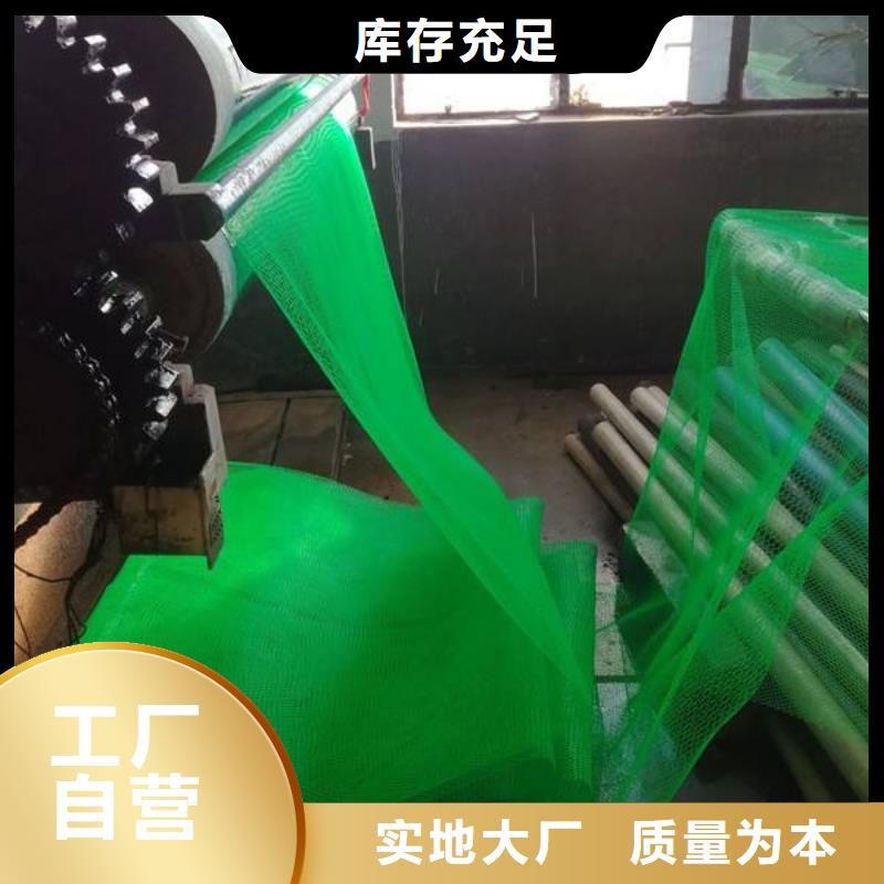 三维植被网-土工格室厂家直销值得选择