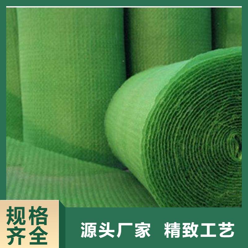 三维植被网,【蜂巢格室】快速物流发货同城品牌