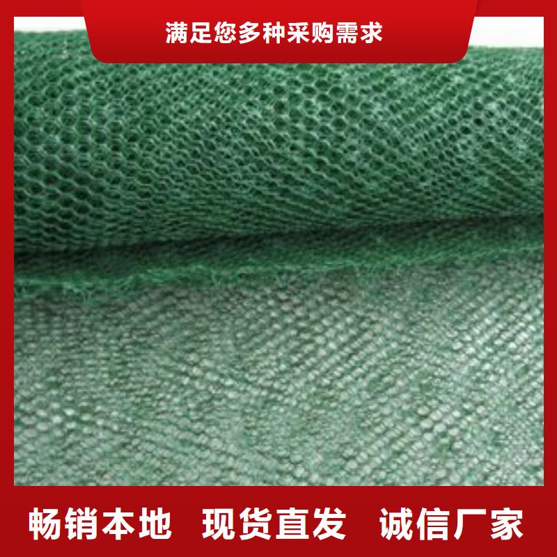 【三维植被网】_三维土工网垫制造厂家