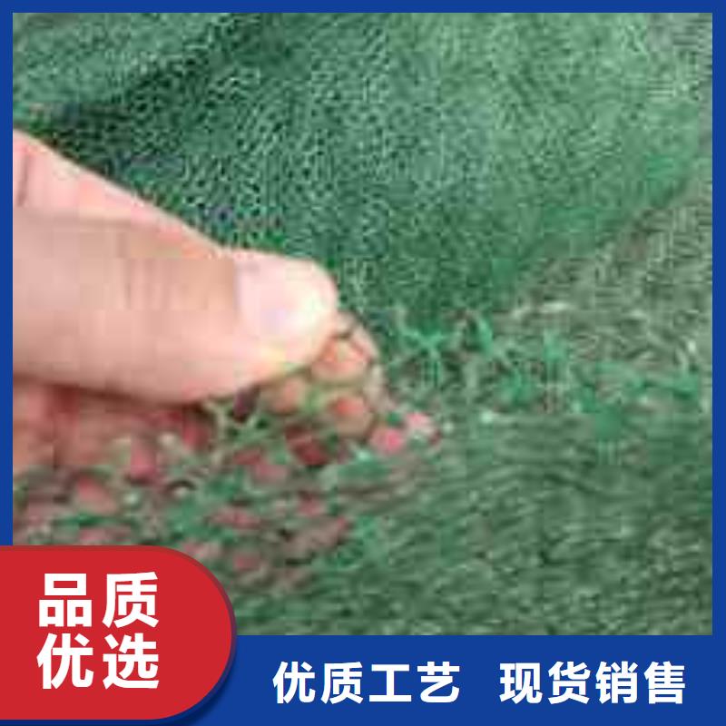 【 三维植被网-毛细排水板工厂认证】-市场覆盖|河源|揭阳|云浮|潮州|珠海-云商赢企