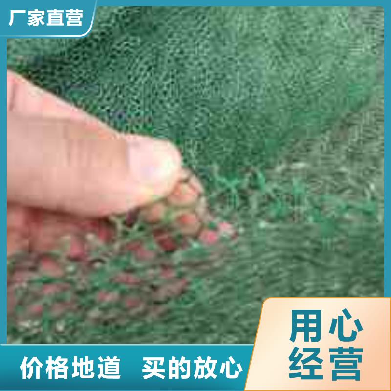 三维植被网塑料盲沟好厂家有担当