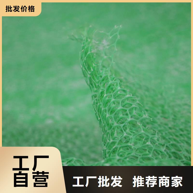 三维植被网塑料盲沟好厂家有担当