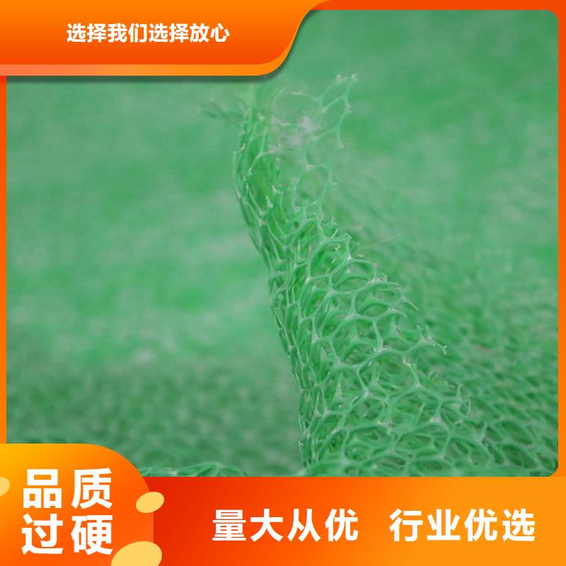 三维植被网土工格室实体厂家支持定制