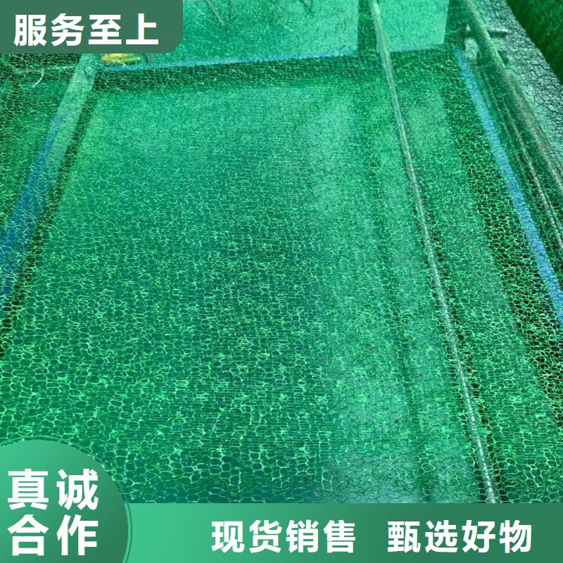 三维植被网单向塑料土工格栅使用方法