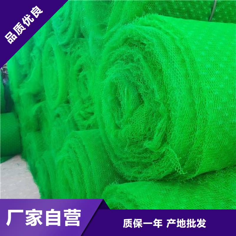 三维植被网土工布厂家货源