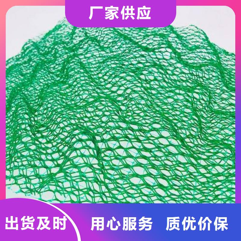 三维植被网防寒布大库存无缺货危机