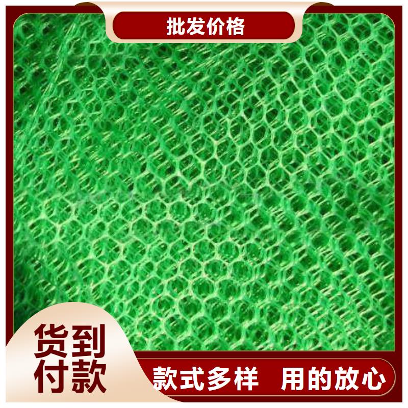 三维植被网塑料盲沟好厂家有担当