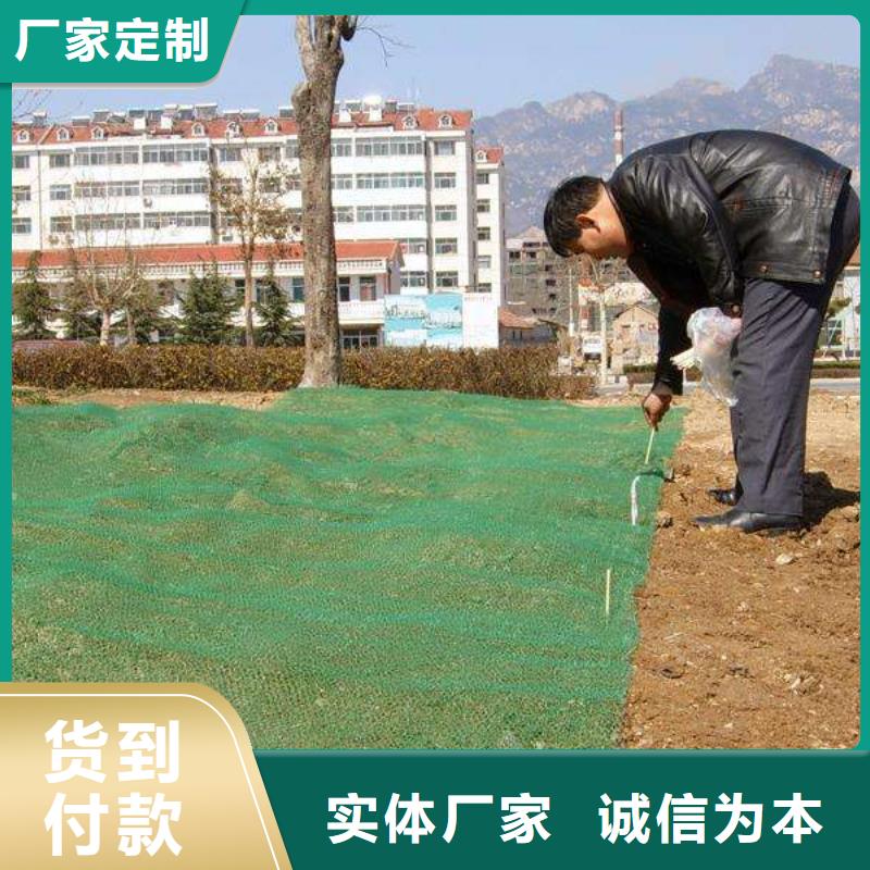 【三维植被网】PVC防水卷材用心经营