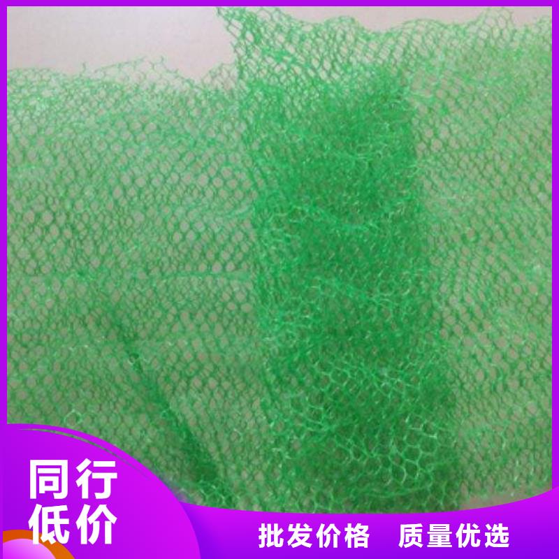 三维植被网塑料盲沟厂家直营