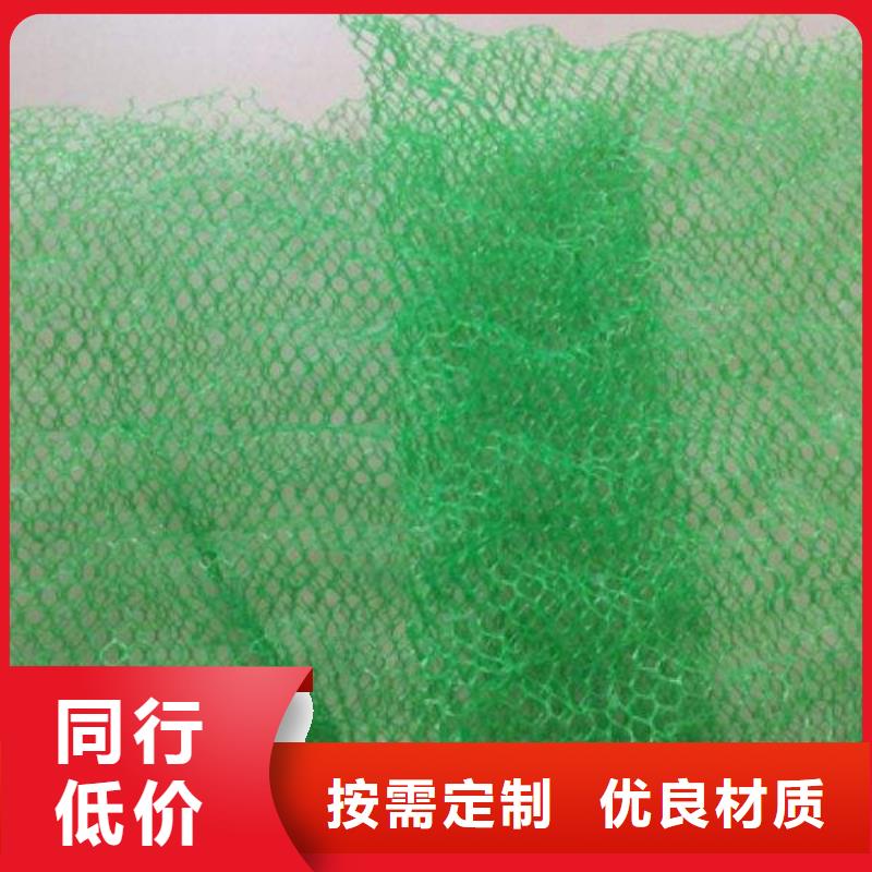 【 三维植被网_蜂巢格室产地批发】 恒丰塑业(防城港市分公司)