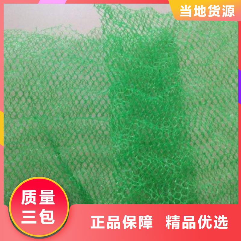 【三维植被网】_三维土工网垫制造厂家